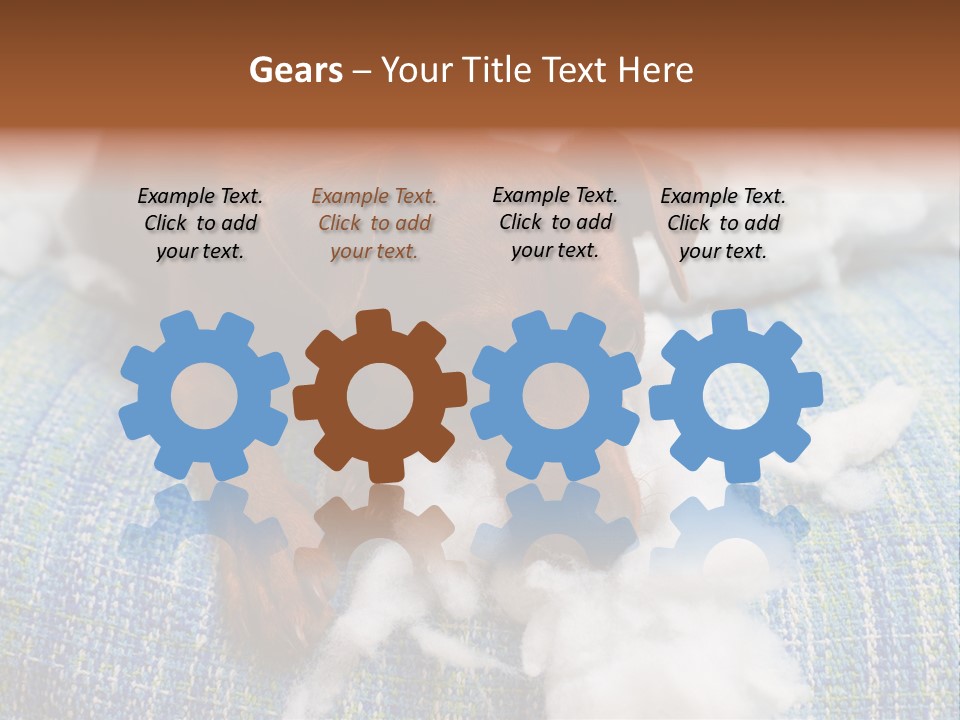 A Brown Dog Laying On Top Of A Pile Of Cotton PowerPoint Template