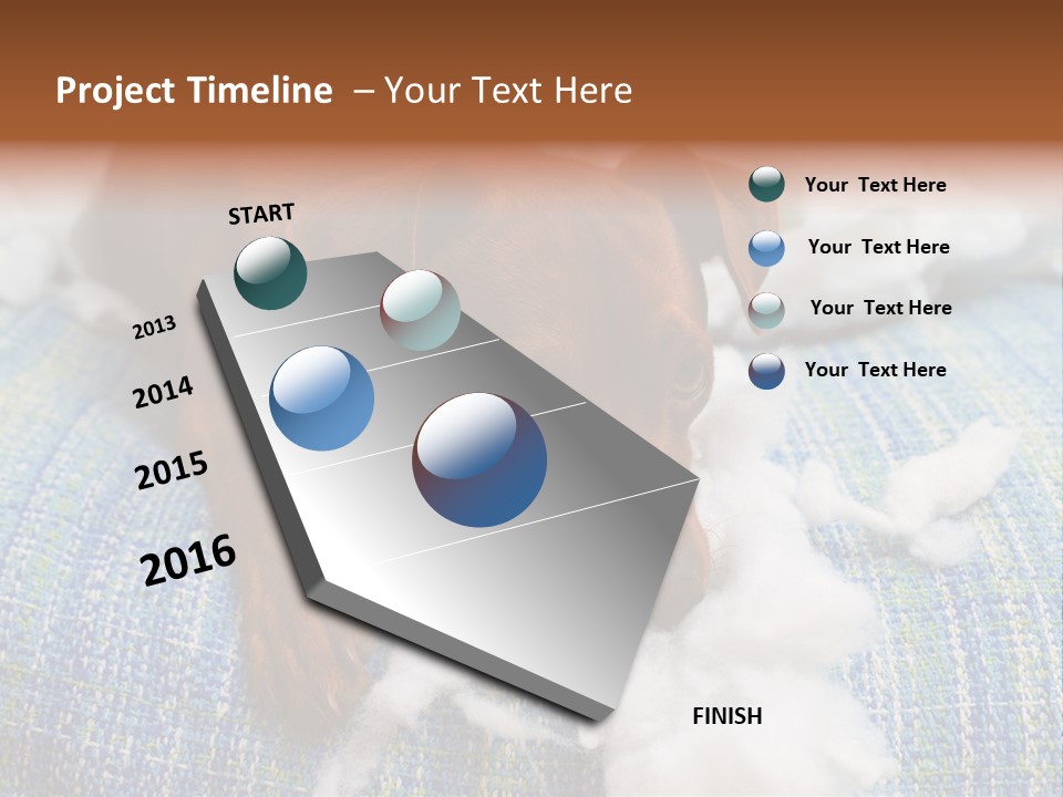 A Brown Dog Laying On Top Of A Pile Of Cotton PowerPoint Template