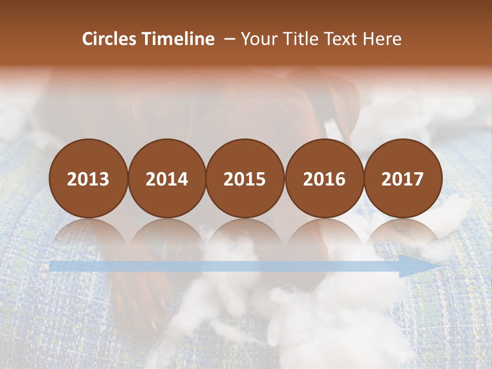 A Brown Dog Laying On Top Of A Pile Of Cotton PowerPoint Template