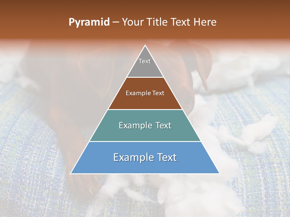 A Brown Dog Laying On Top Of A Pile Of Cotton PowerPoint Template