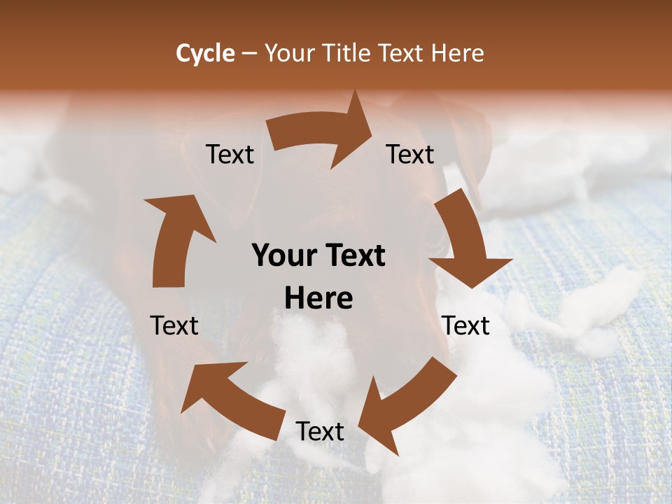 A Brown Dog Laying On Top Of A Pile Of Cotton PowerPoint Template