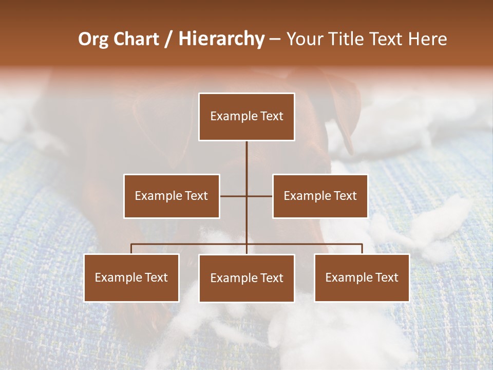 A Brown Dog Laying On Top Of A Pile Of Cotton PowerPoint Template