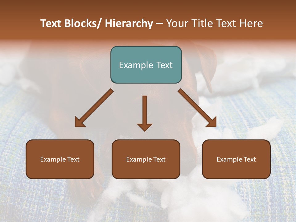 A Brown Dog Laying On Top Of A Pile Of Cotton PowerPoint Template