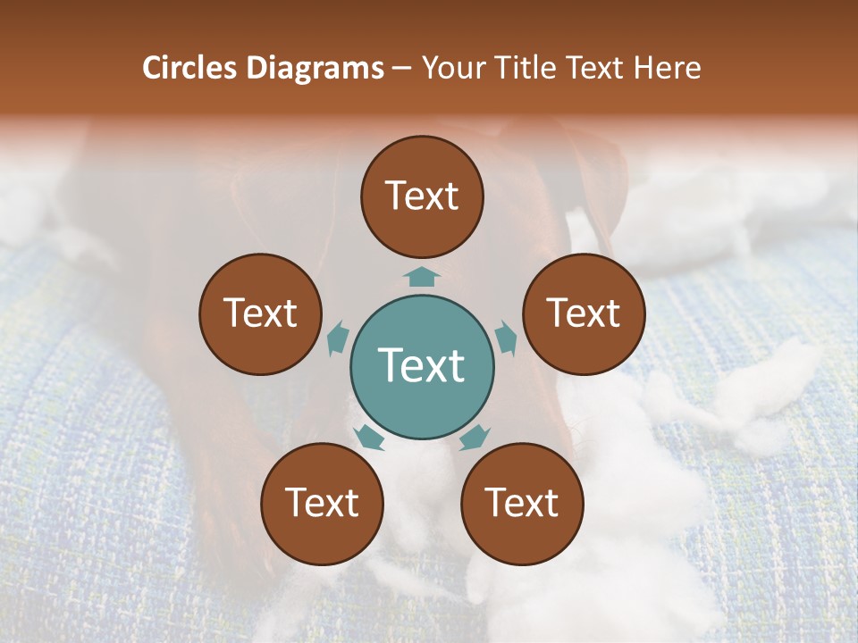 A Brown Dog Laying On Top Of A Pile Of Cotton PowerPoint Template