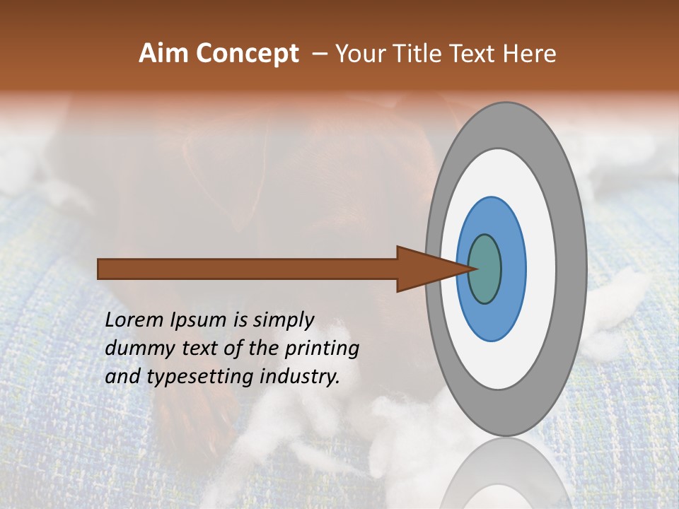 A Brown Dog Laying On Top Of A Pile Of Cotton PowerPoint Template