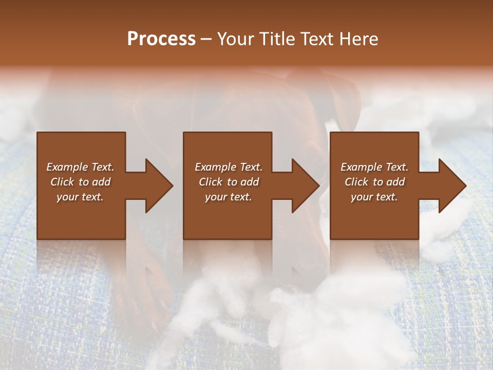 A Brown Dog Laying On Top Of A Pile Of Cotton PowerPoint Template