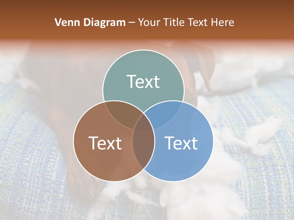 A Brown Dog Laying On Top Of A Pile Of Cotton PowerPoint Template