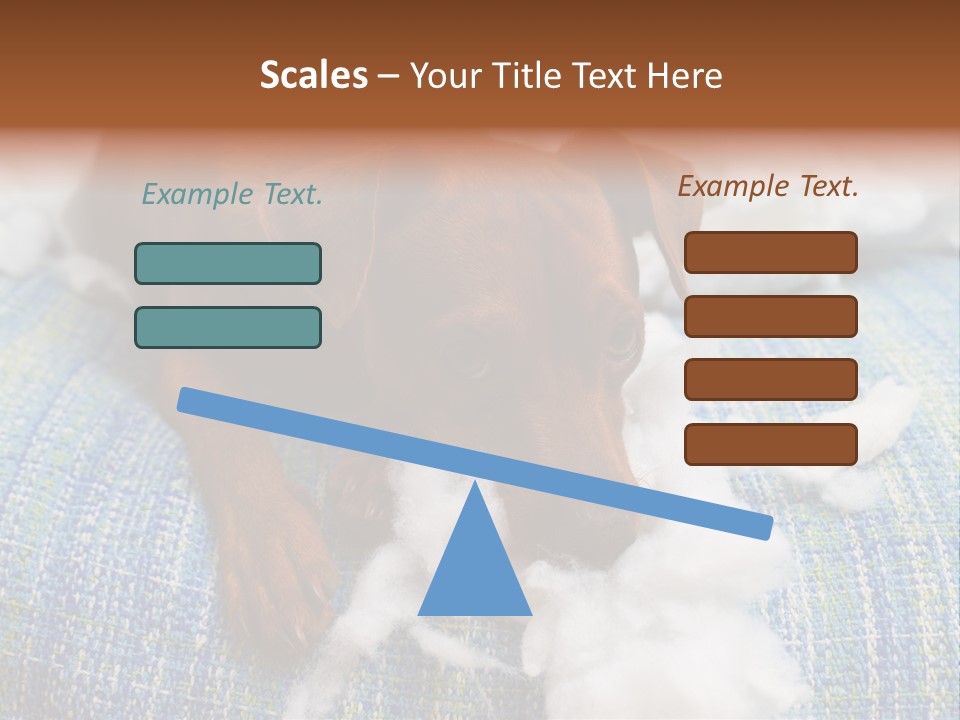 A Brown Dog Laying On Top Of A Pile Of Cotton PowerPoint Template