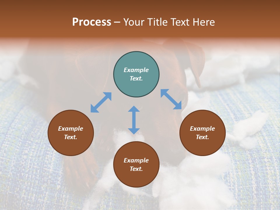 A Brown Dog Laying On Top Of A Pile Of Cotton PowerPoint Template