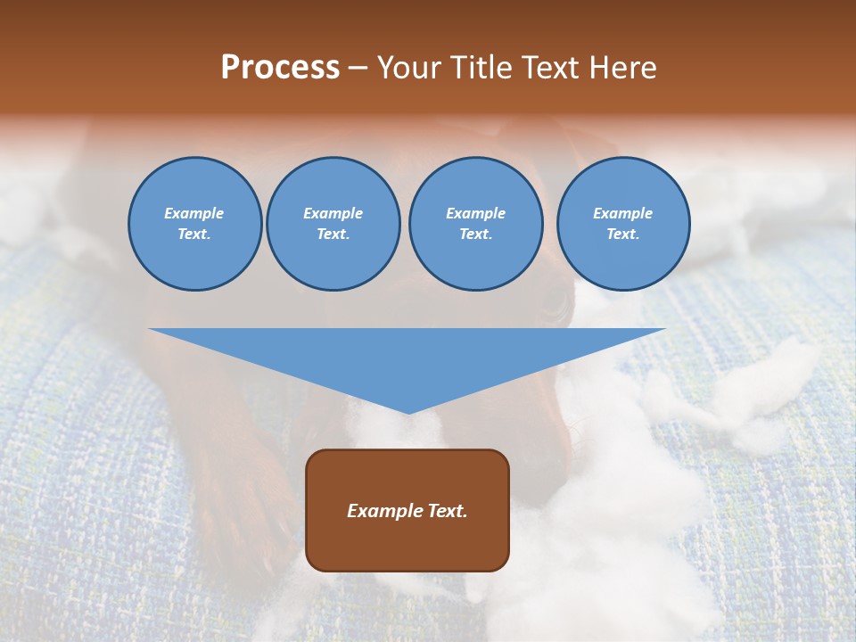 A Brown Dog Laying On Top Of A Pile Of Cotton PowerPoint Template