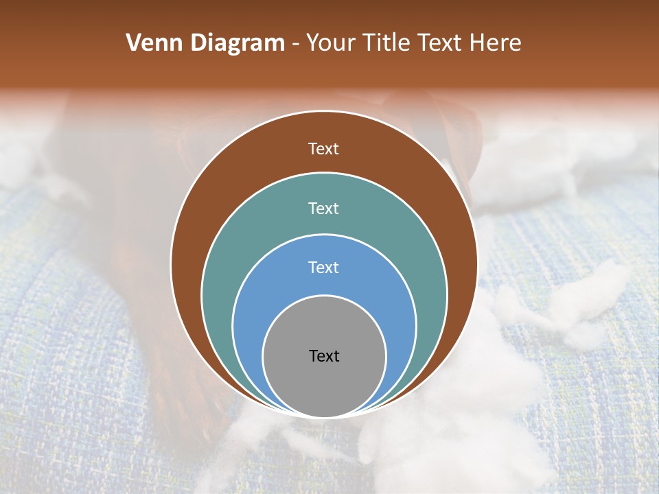 A Brown Dog Laying On Top Of A Pile Of Cotton PowerPoint Template