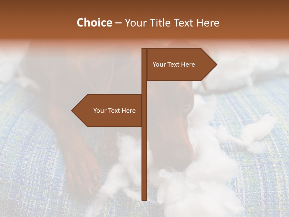 A Brown Dog Laying On Top Of A Pile Of Cotton PowerPoint Template