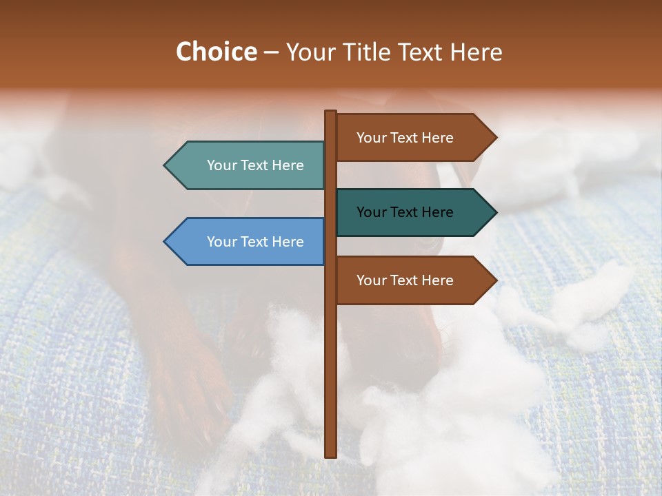 A Brown Dog Laying On Top Of A Pile Of Cotton PowerPoint Template