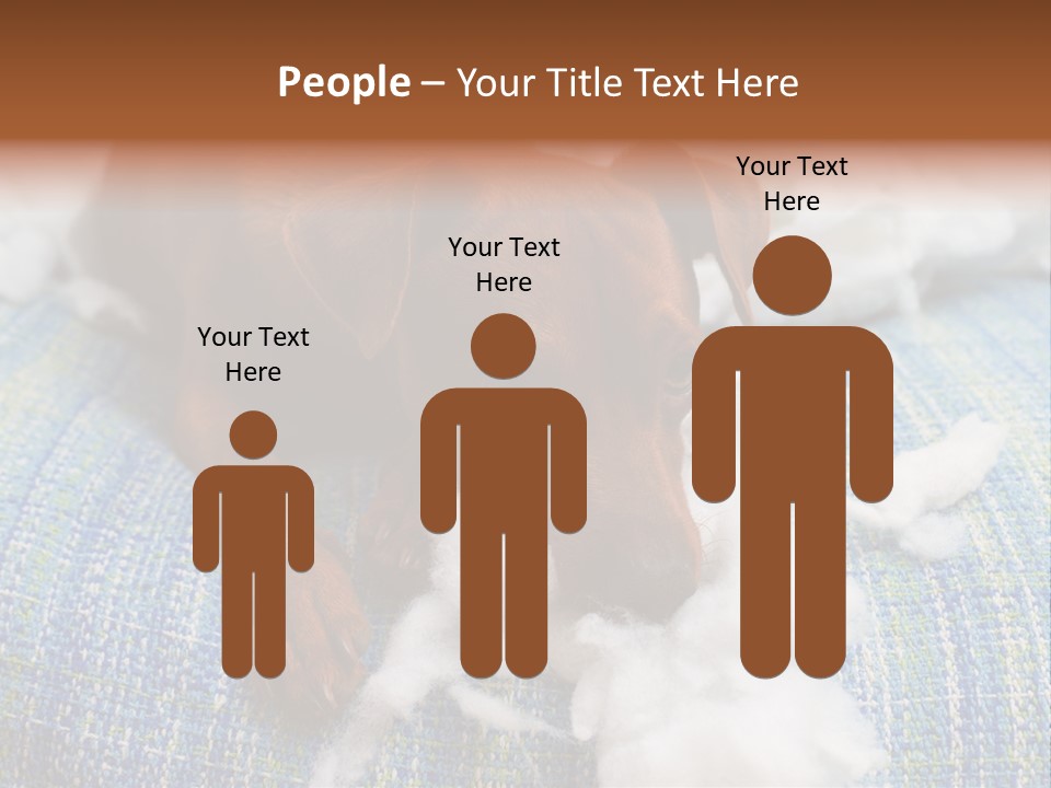 A Brown Dog Laying On Top Of A Pile Of Cotton PowerPoint Template