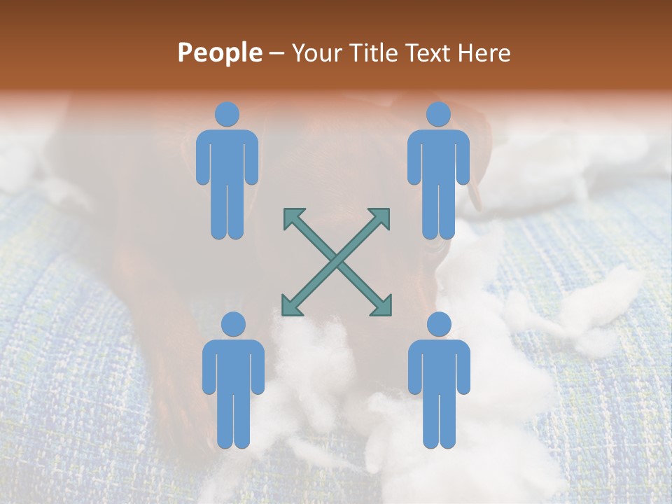 A Brown Dog Laying On Top Of A Pile Of Cotton PowerPoint Template