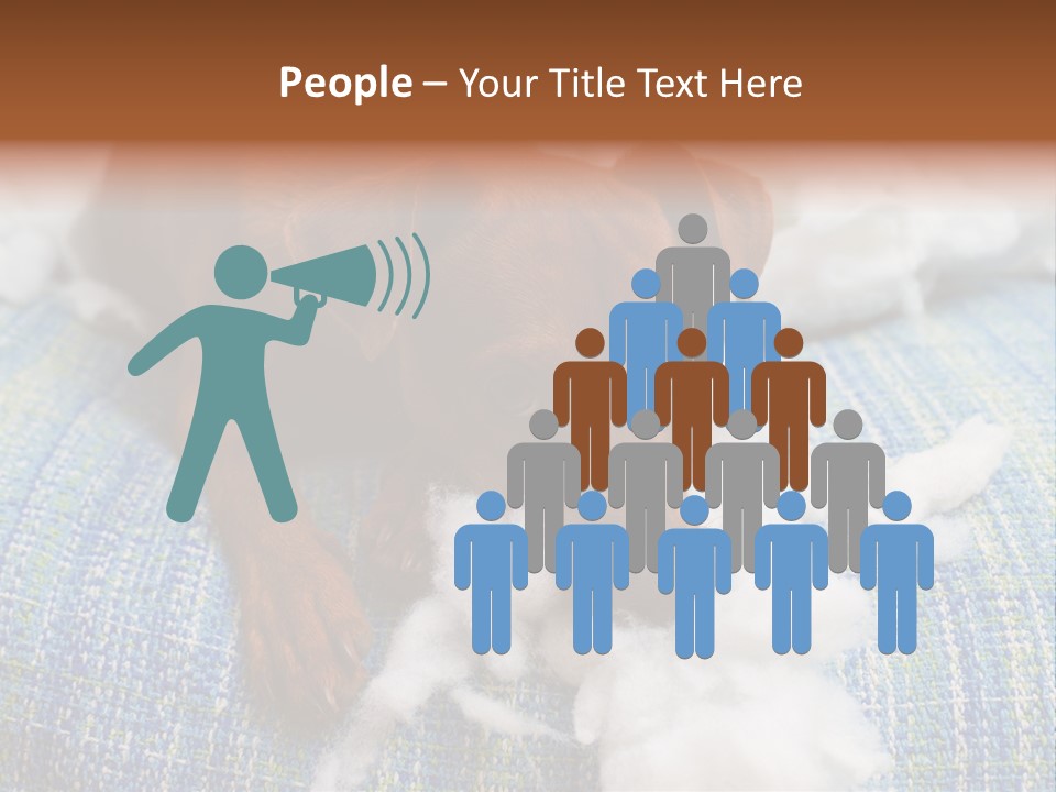 A Brown Dog Laying On Top Of A Pile Of Cotton PowerPoint Template