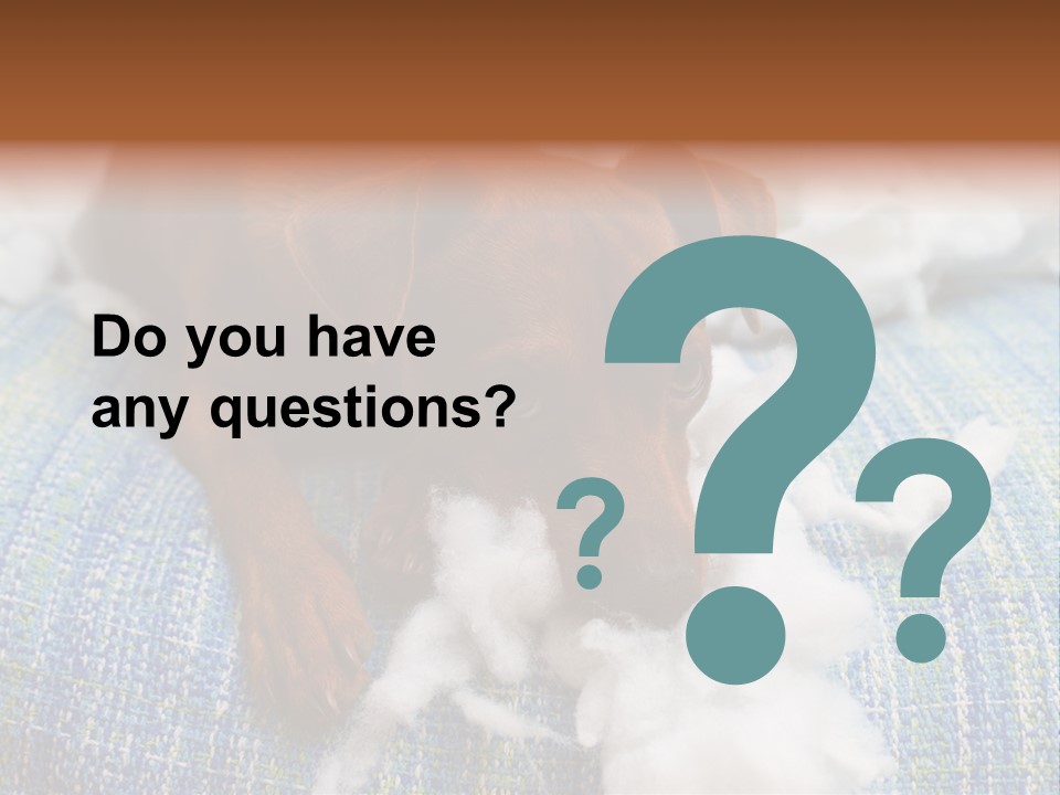 A Brown Dog Laying On Top Of A Pile Of Cotton PowerPoint Template