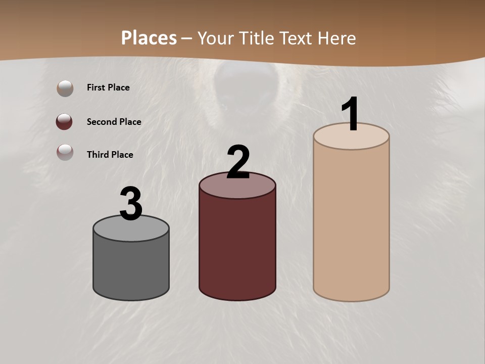 A Brown Bear Standing In Front Of A Mountain PowerPoint Template