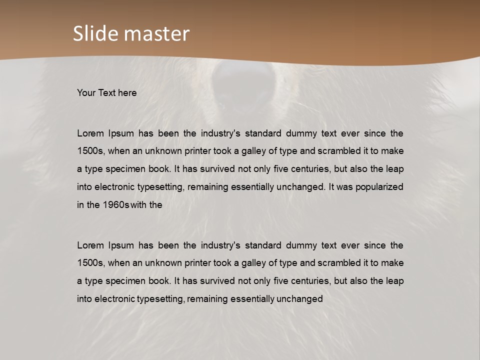 A Brown Bear Standing In Front Of A Mountain PowerPoint Template