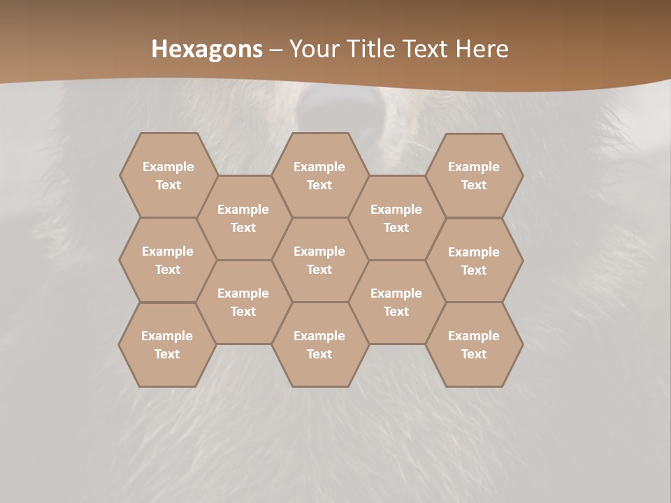A Brown Bear Standing In Front Of A Mountain PowerPoint Template