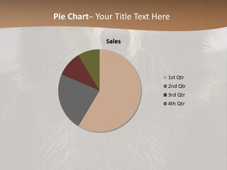 A Brown Bear Standing In Front Of A Mountain PowerPoint Template