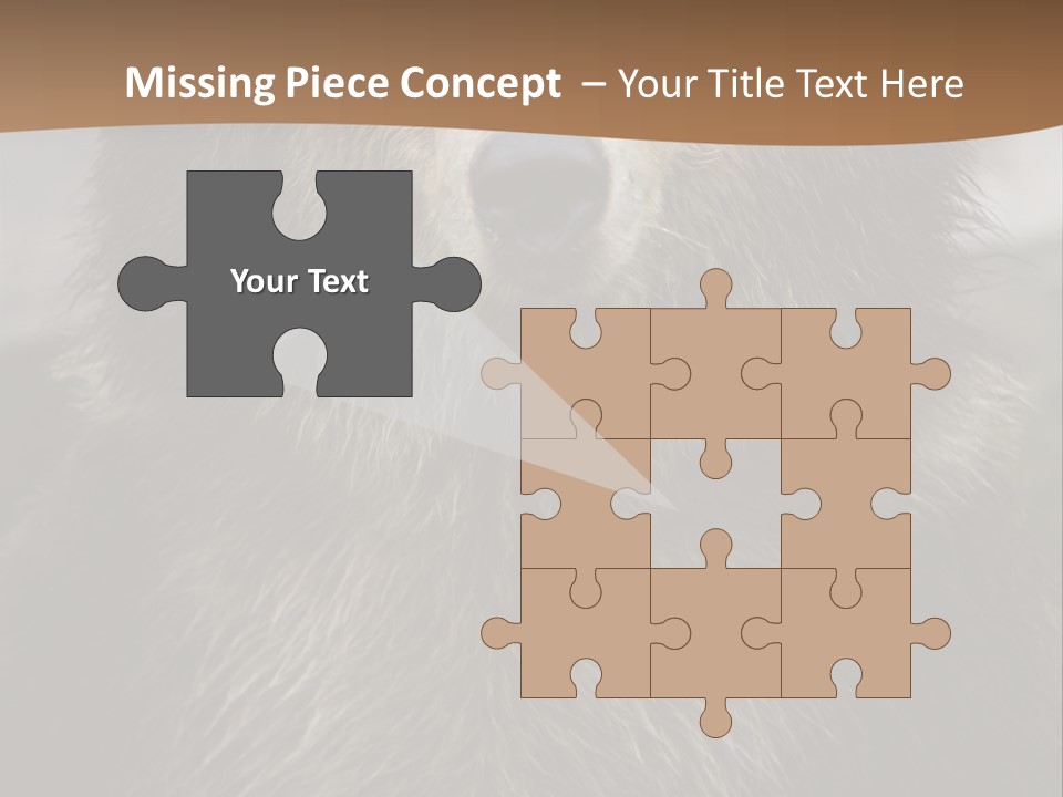 A Brown Bear Standing In Front Of A Mountain PowerPoint Template