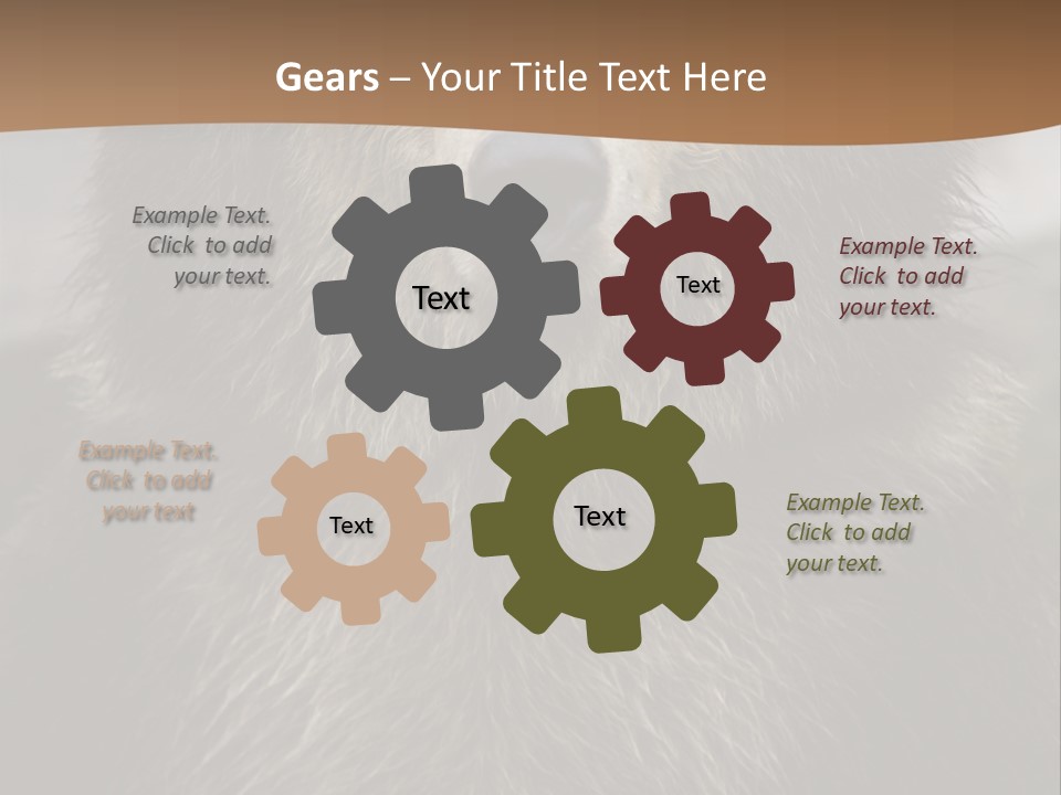 A Brown Bear Standing In Front Of A Mountain PowerPoint Template