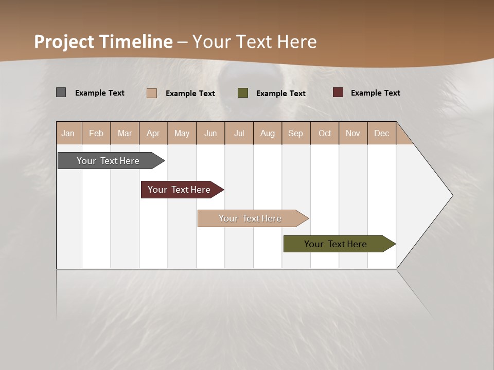 A Brown Bear Standing In Front Of A Mountain PowerPoint Template