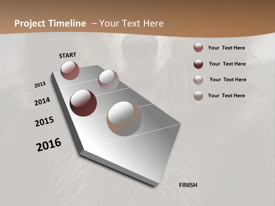 A Brown Bear Standing In Front Of A Mountain PowerPoint Template