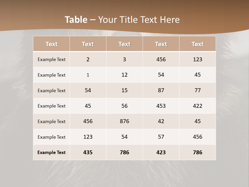 A Brown Bear Standing In Front Of A Mountain PowerPoint Template