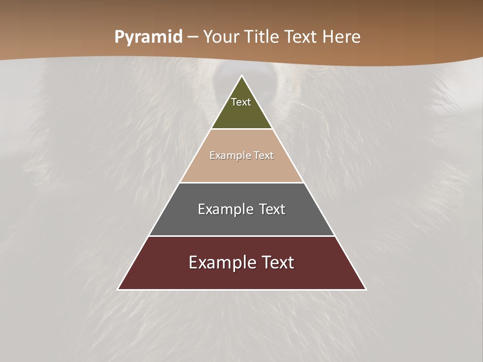A Brown Bear Standing In Front Of A Mountain PowerPoint Template