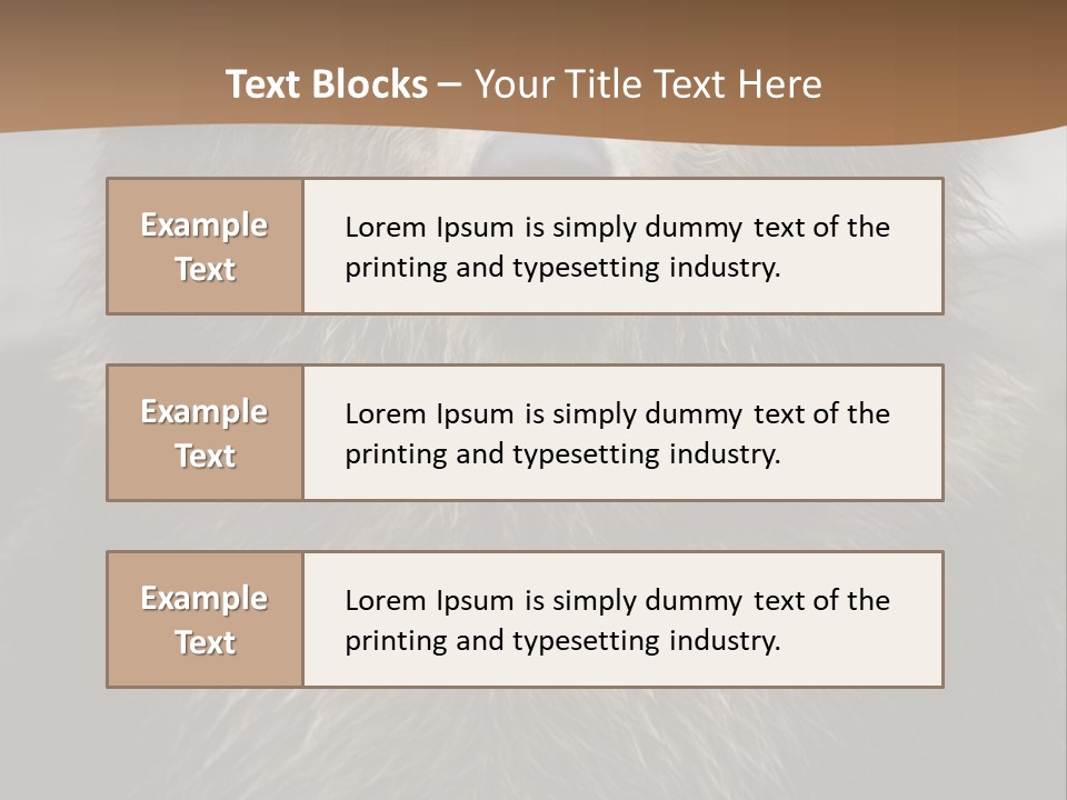A Brown Bear Standing In Front Of A Mountain PowerPoint Template