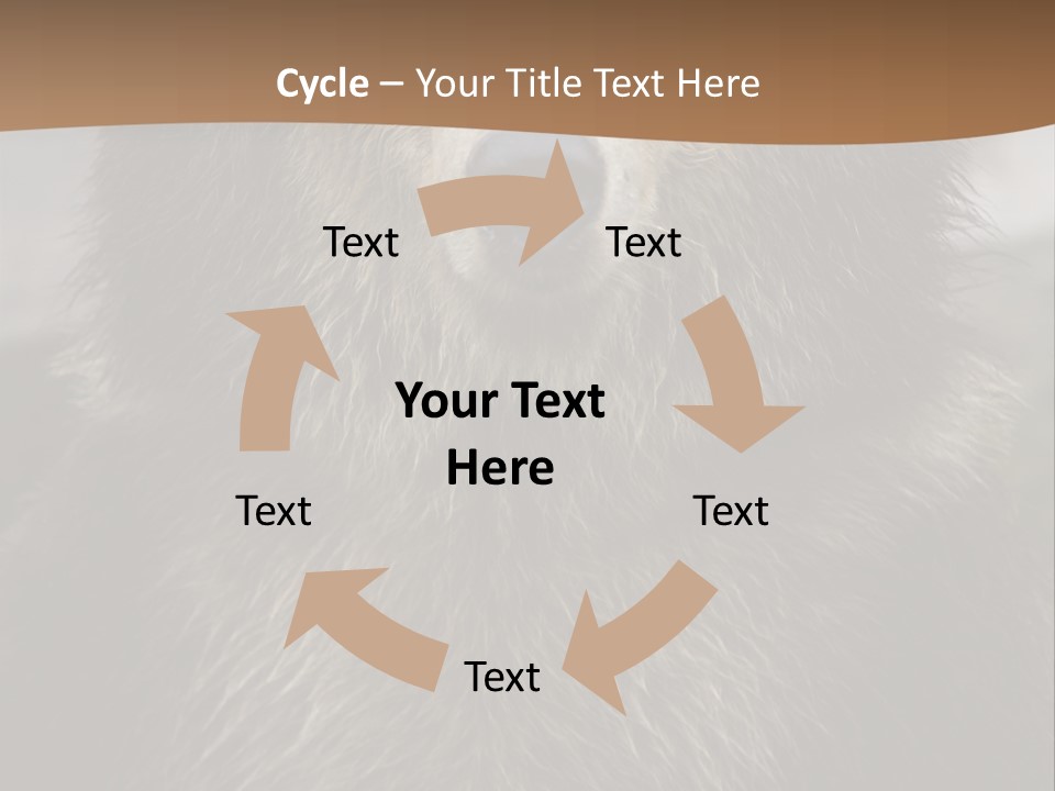 A Brown Bear Standing In Front Of A Mountain PowerPoint Template