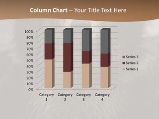 A Brown Bear Standing In Front Of A Mountain PowerPoint Template