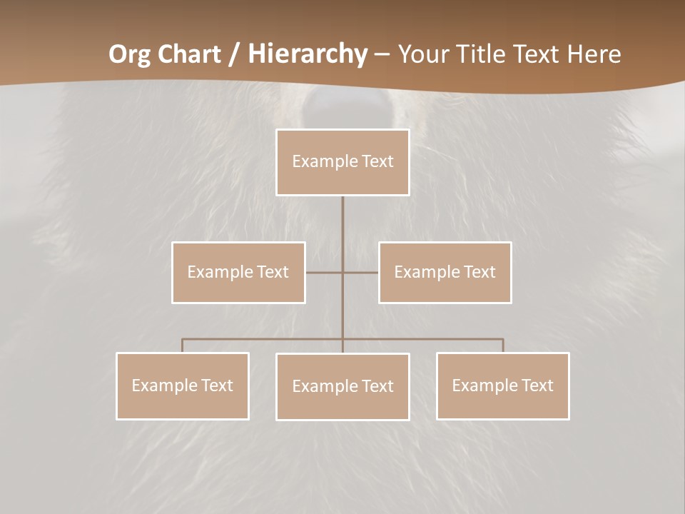 A Brown Bear Standing In Front Of A Mountain PowerPoint Template