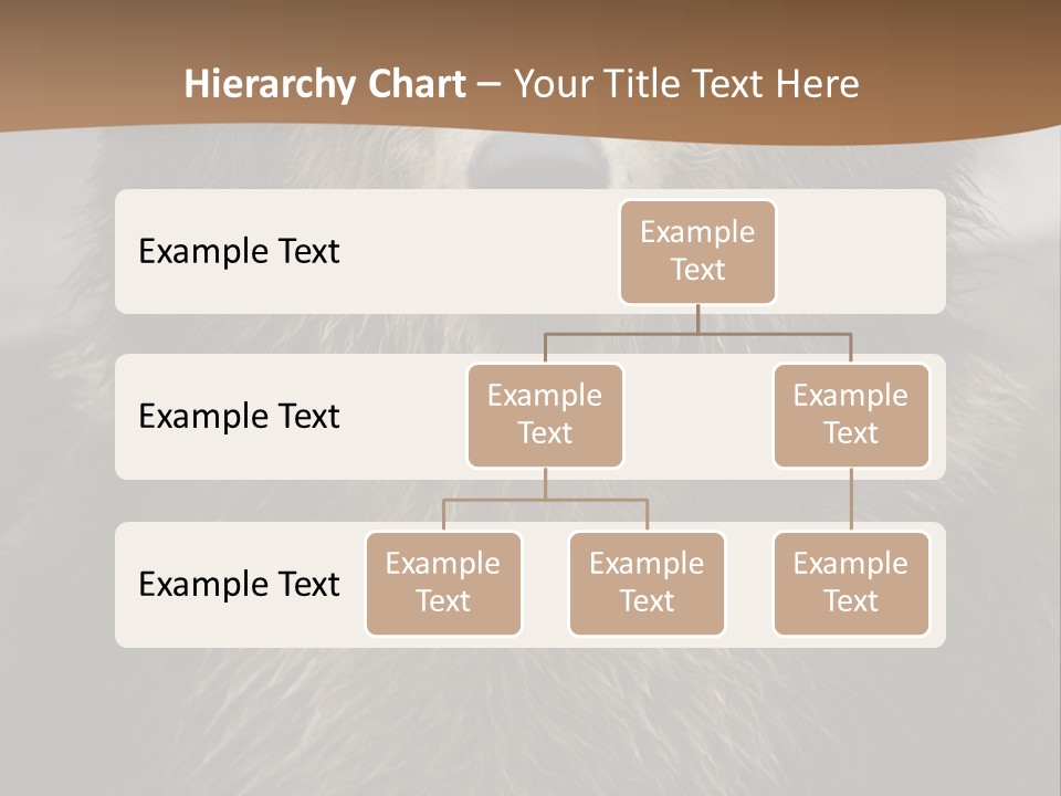 A Brown Bear Standing In Front Of A Mountain PowerPoint Template