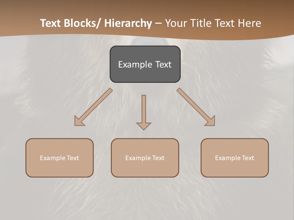 A Brown Bear Standing In Front Of A Mountain PowerPoint Template