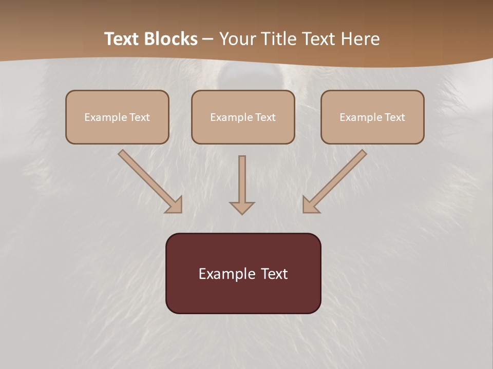A Brown Bear Standing In Front Of A Mountain PowerPoint Template
