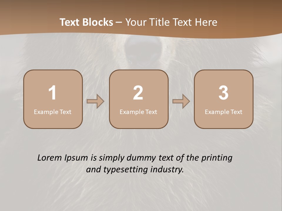 A Brown Bear Standing In Front Of A Mountain PowerPoint Template