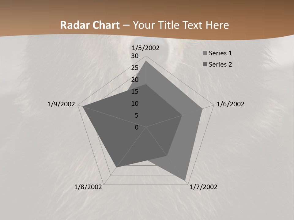 A Brown Bear Standing In Front Of A Mountain PowerPoint Template
