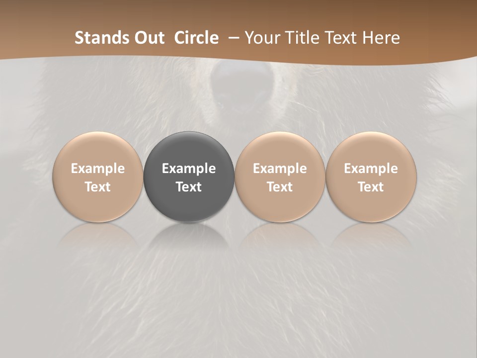 A Brown Bear Standing In Front Of A Mountain PowerPoint Template