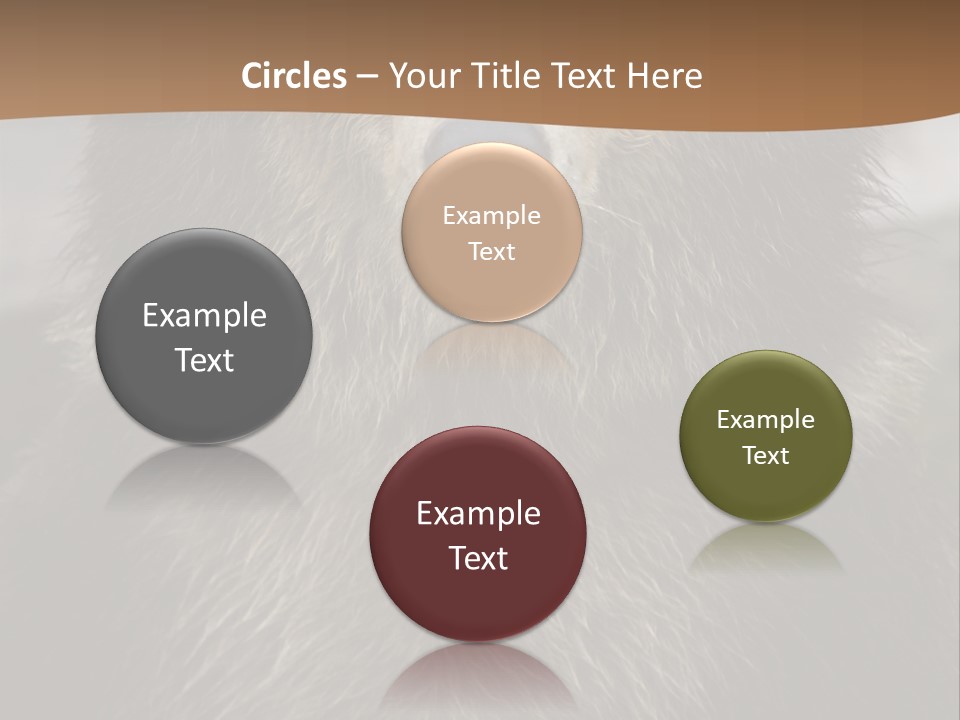 A Brown Bear Standing In Front Of A Mountain PowerPoint Template