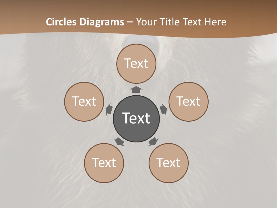 A Brown Bear Standing In Front Of A Mountain PowerPoint Template