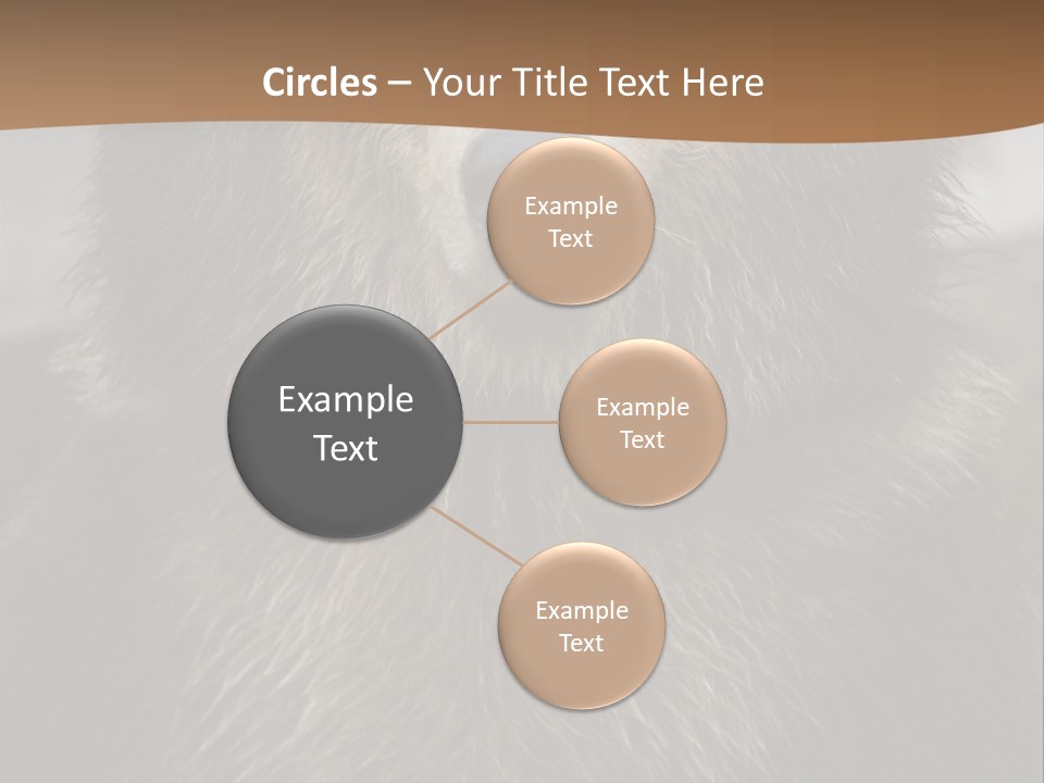 A Brown Bear Standing In Front Of A Mountain PowerPoint Template
