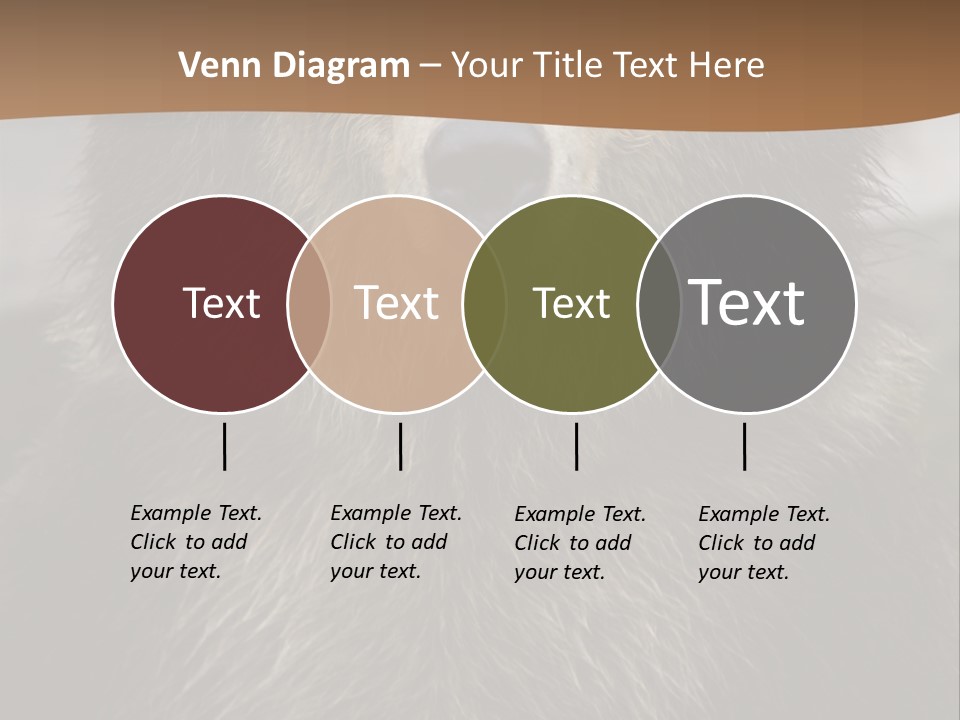 A Brown Bear Standing In Front Of A Mountain PowerPoint Template