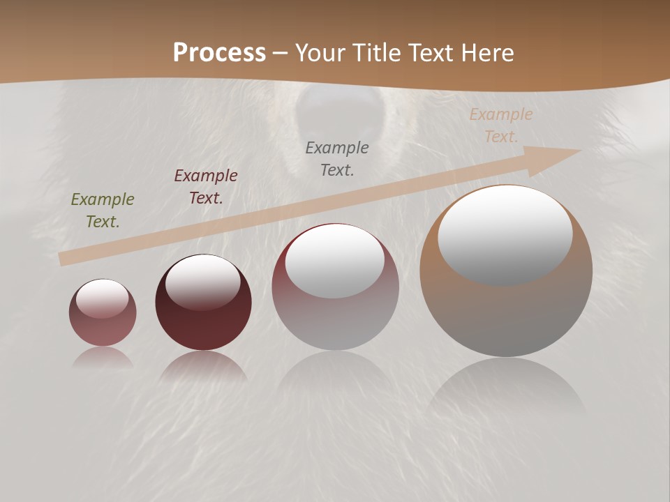 A Brown Bear Standing In Front Of A Mountain PowerPoint Template