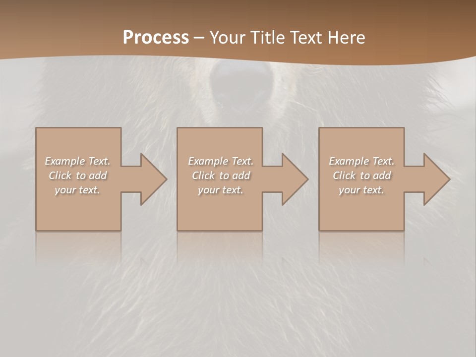 A Brown Bear Standing In Front Of A Mountain PowerPoint Template