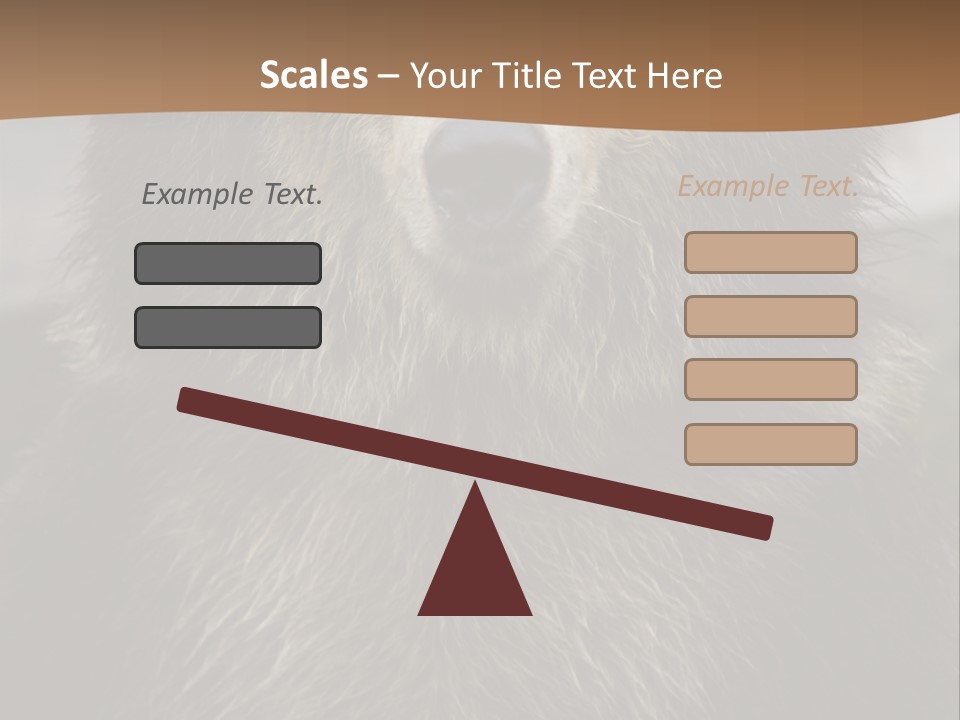 A Brown Bear Standing In Front Of A Mountain PowerPoint Template