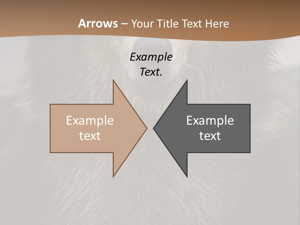 A Brown Bear Standing In Front Of A Mountain PowerPoint Template