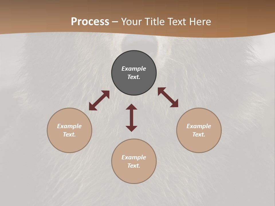 A Brown Bear Standing In Front Of A Mountain PowerPoint Template